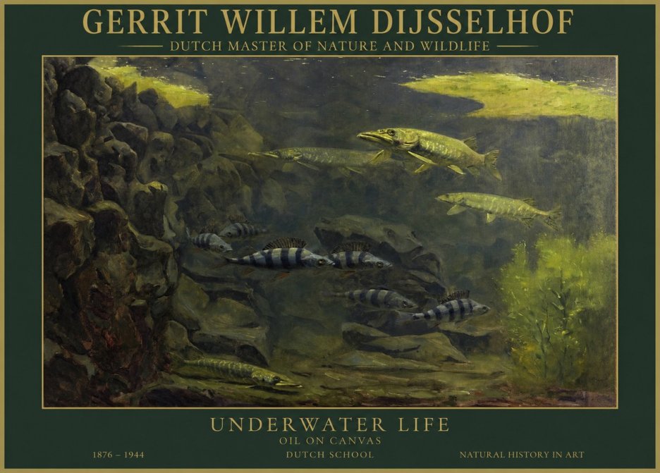 Gerrit Willem Dijsselhof Underwater Life No1 - Plakat