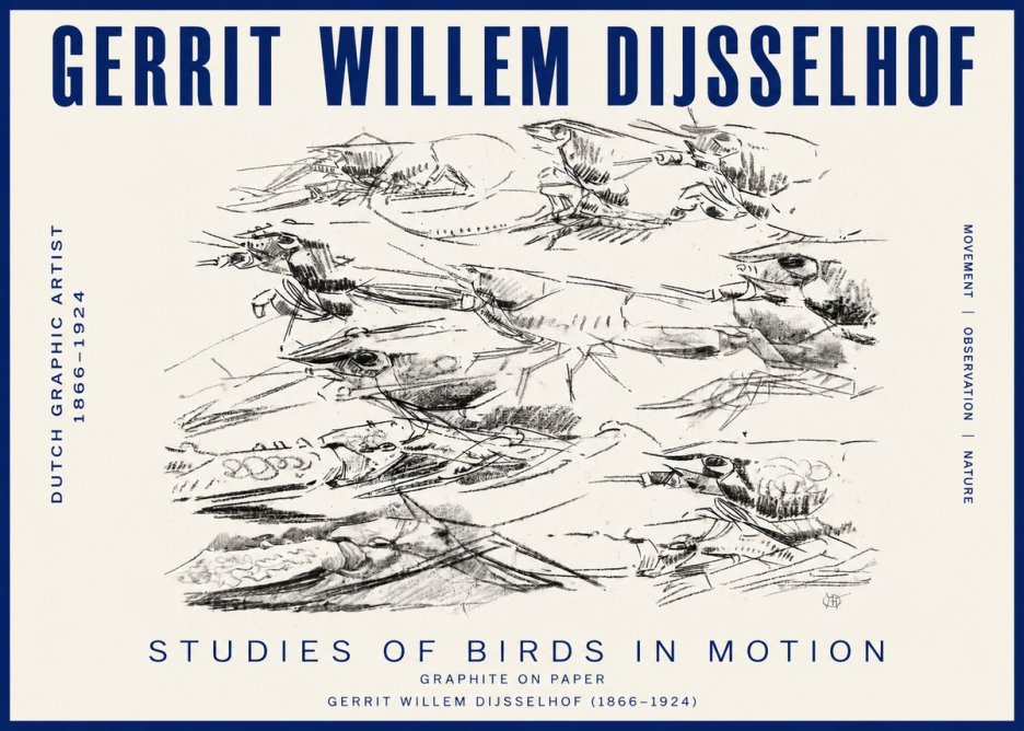 Gerrit Willem Dijsselhof Studies of Birds in Motion No3 - Plakat