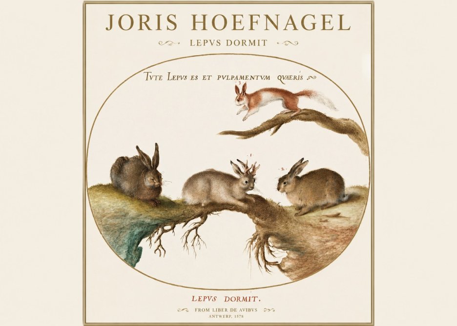 Joris Hoefnagel Lepvs Dormit No1 - Plakat