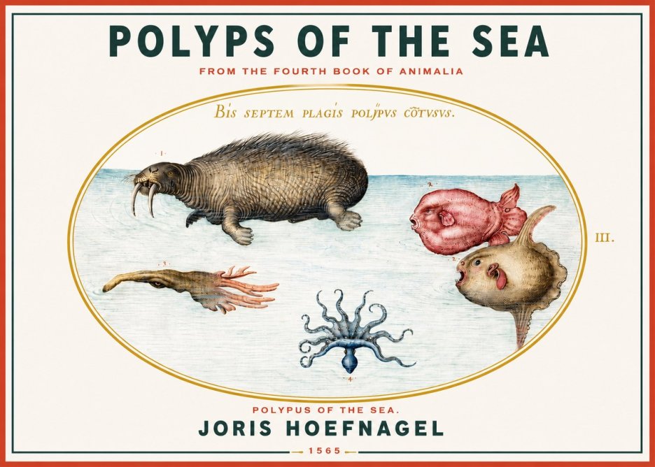 Joris Hoefnagel Polyps of the Sea No3 - Plakat