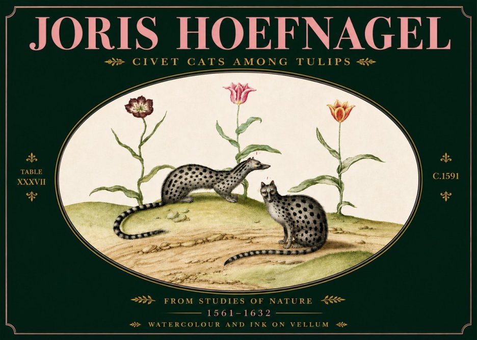 Joris Hoefnagel Civet Cats Among Tulips No5 - Plakat