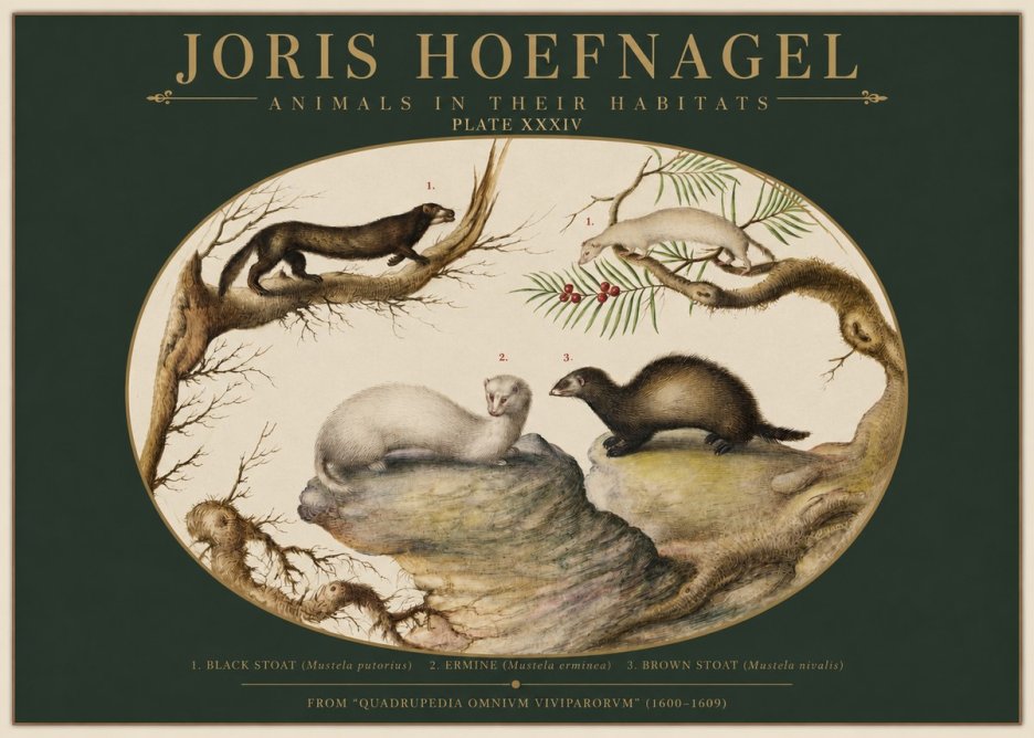 Joris Hoefnagel Animals in Their Habitats Plate Xxxiv No2 - Plakat
