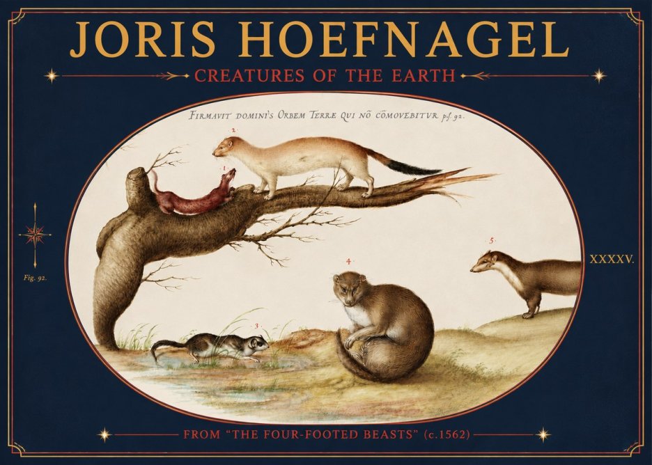 Joris Hoefnagel Creatures of the Earth I No4 - Plakat