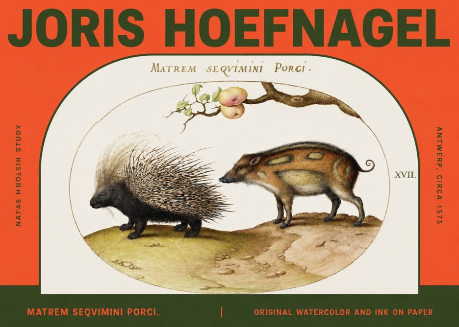 Joris Hoefnagel Matrem Seqvimini Porci. No2 - Plakat