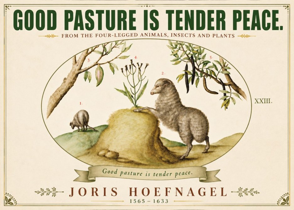 Joris Hoefnagel Good Pasture Is Tender Peace. No6 - Plakat