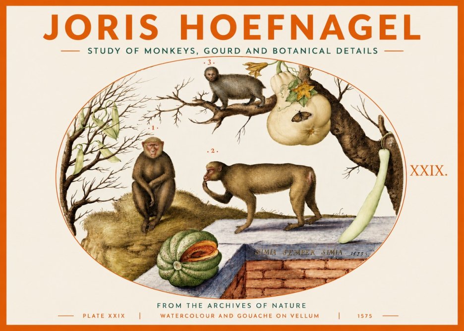 Joris Hoefnagel But Always a Monkey, Always a Monkey. Plate Xxix No4 - Plakat