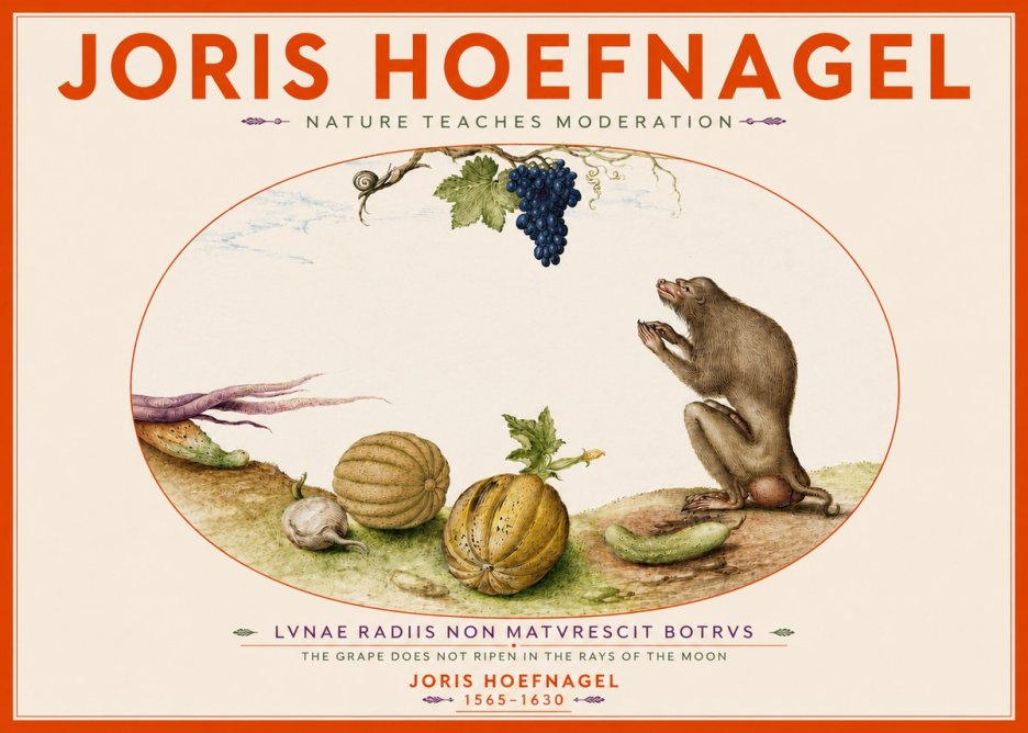Joris Hoefnagel Nature Teaches Moderation No4 - Plakat