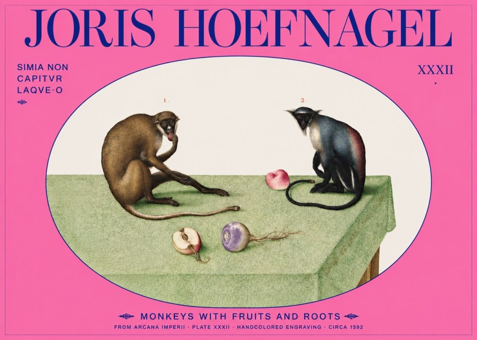 Joris Hoefnagel Monkeys with Fruits and Roots No2 - Plakat