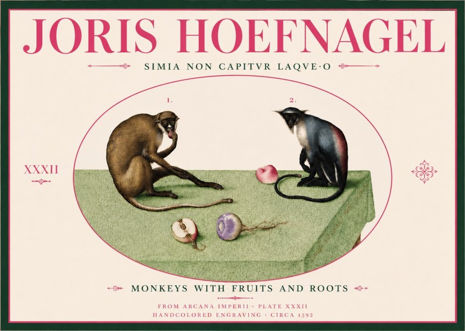 Joris Hoefnagel Monkeys with Fruits and Roots No6 - Plakat