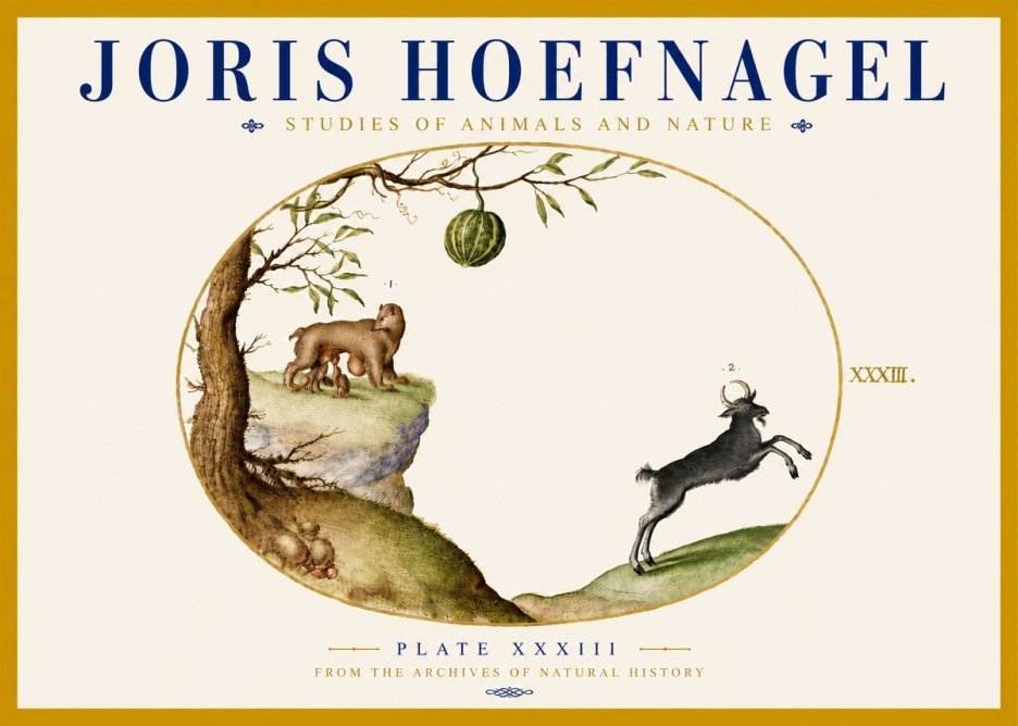 Joris Hoefnagel Plate Xxxiii No5 - Plakat