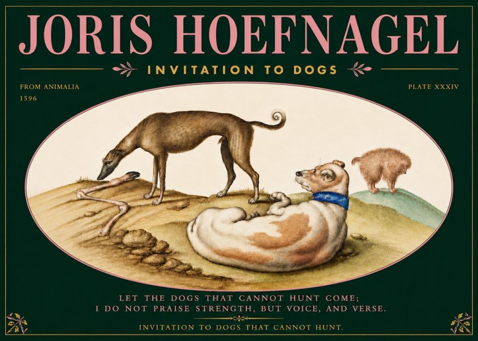 Joris Hoefnagel Invitation to Dogs No5 - Plakat