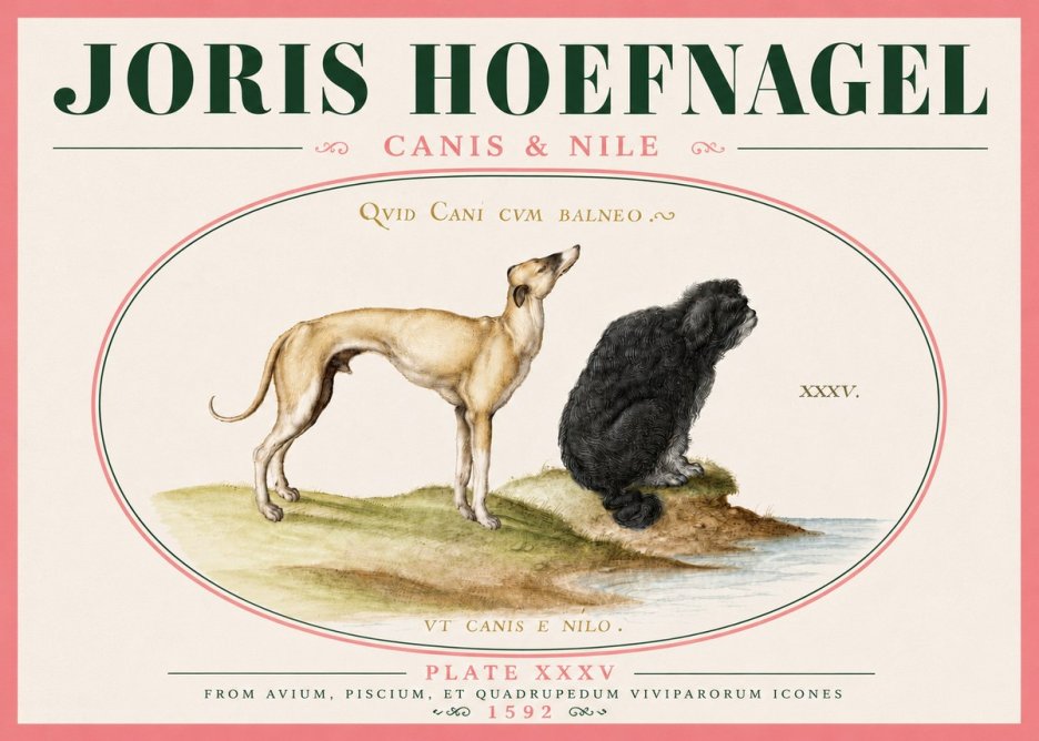 Joris Hoefnagel Neither Can a Dog Live in Baths No6 - Plakat