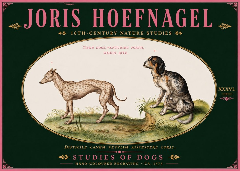 Joris Hoefnagel Studies of Dogs No6 - Plakat
