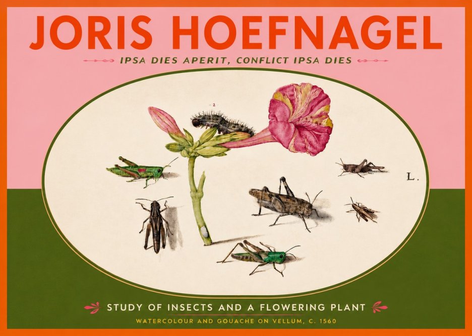 Joris Hoefnagel Study of Insects and a Flowering Plant No4 - Plakat