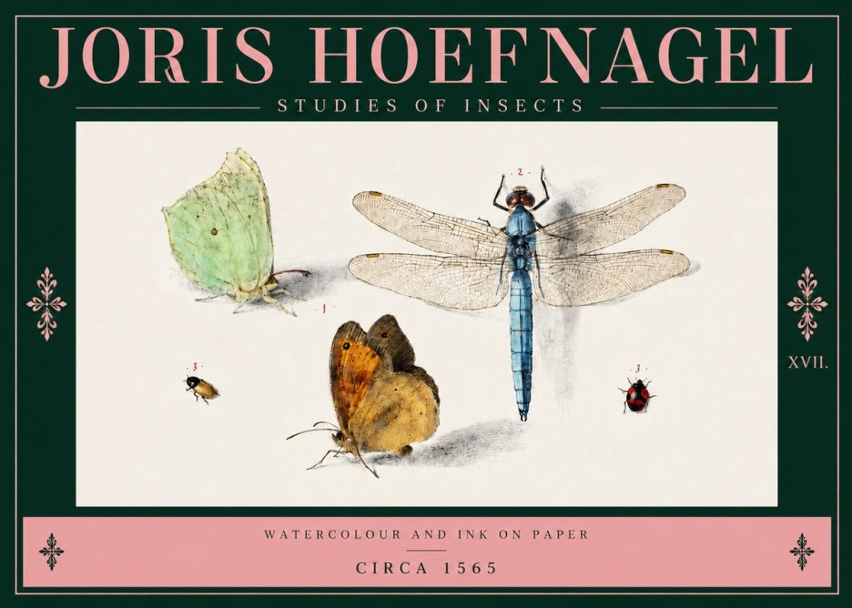 Joris Hoefnagel A Study of Butterflies, Dragonflies and Beetles No4 - Plakat