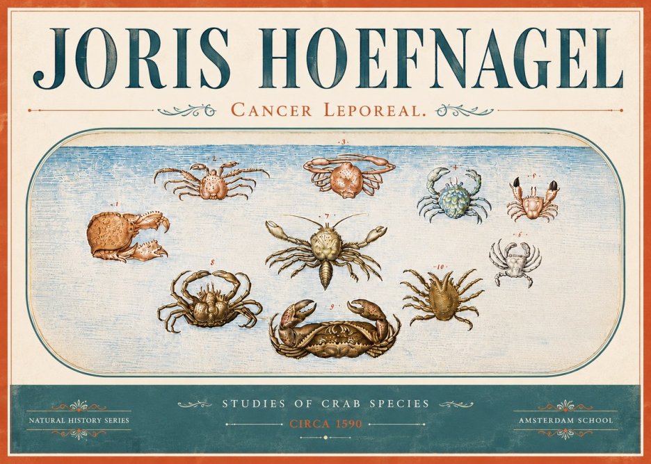 Joris Hoefnagel Cancer Leporeal. No6 - Plakat