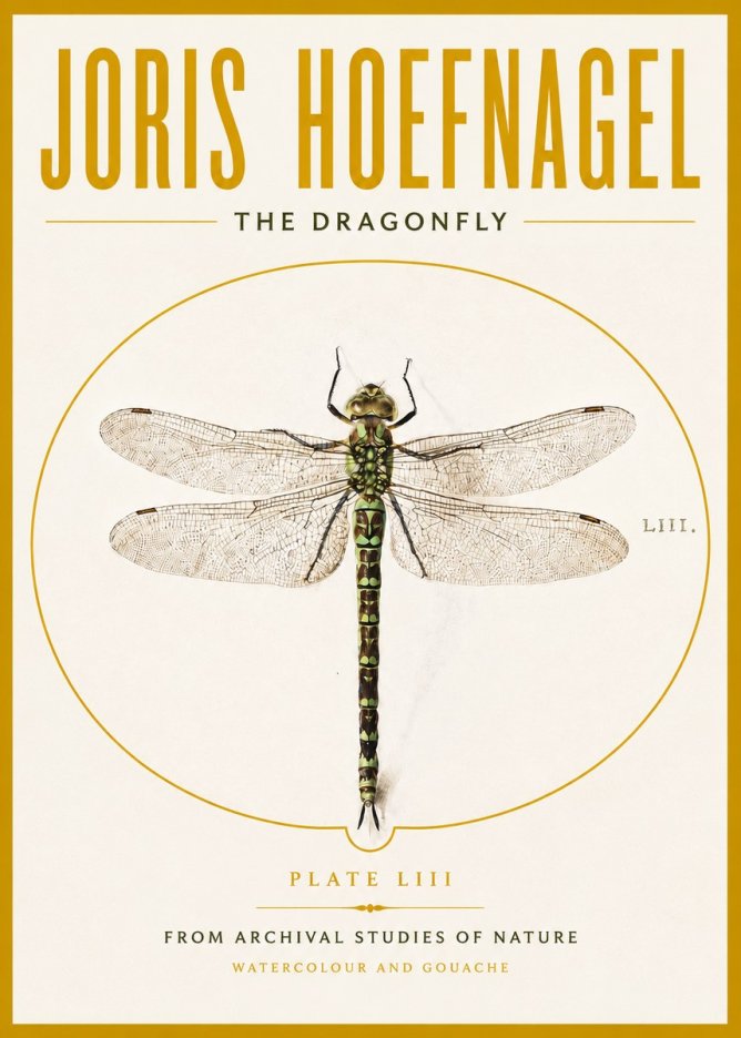 Joris Hoefnagel The Dragonfly No4 - Plakat