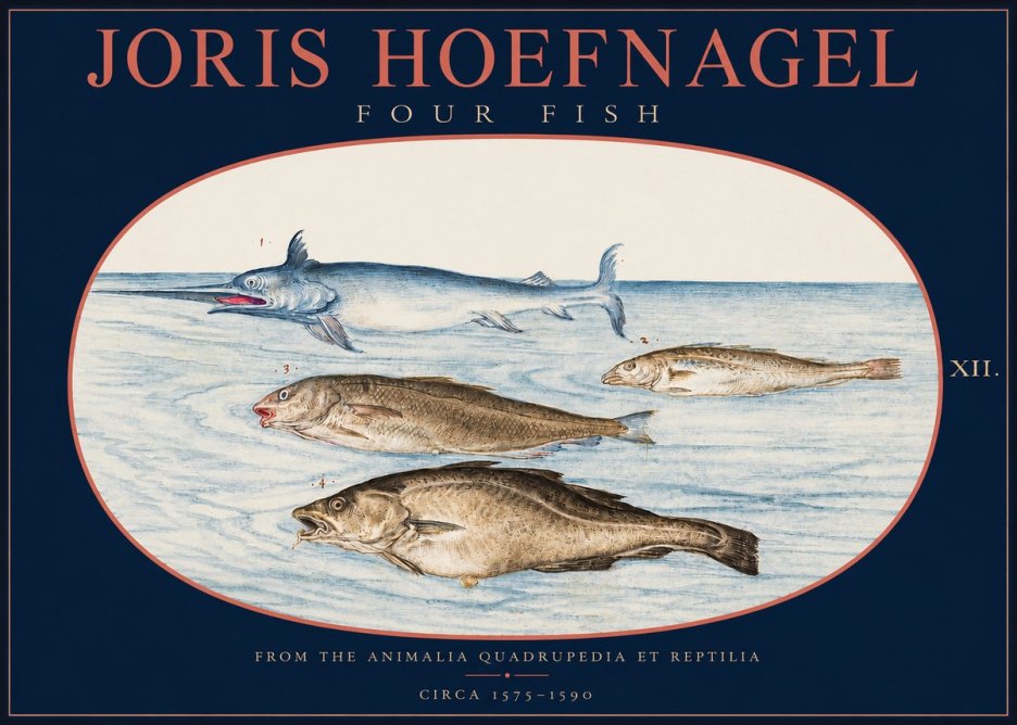 Joris Hoefnagel Four Fish No2 - Plakat