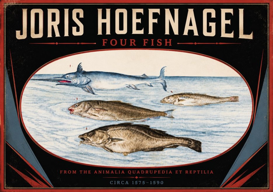 Joris Hoefnagel Four Fish No5 - Plakat