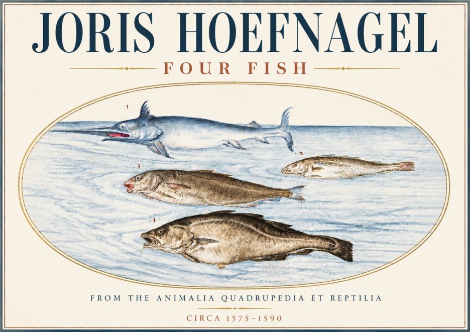 Joris Hoefnagel Four Fish No6 - Plakat