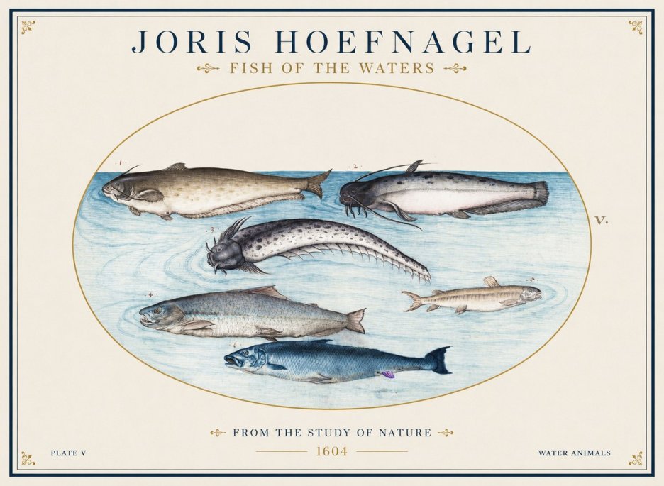 Joris Hoefnagel Fish of the Waters No1 - Plakat
