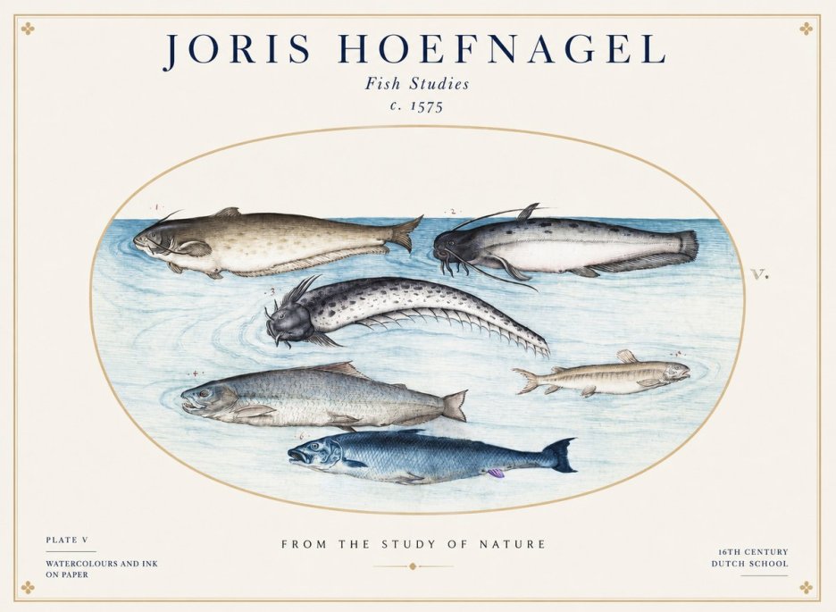 Joris Hoefnagel Fish of the Waters No2 - Plakat