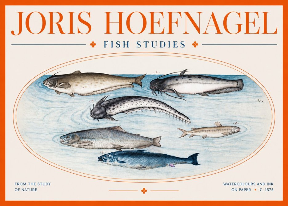 Joris Hoefnagel Fish of the Waters No3 - Plakat