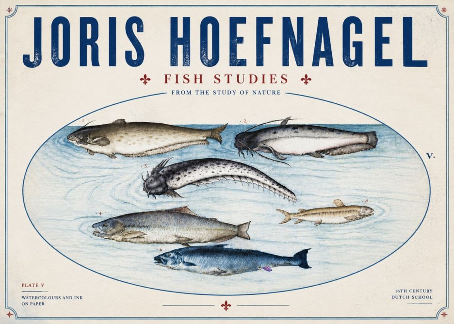 Joris Hoefnagel Fish of the Waters No6 - Plakat