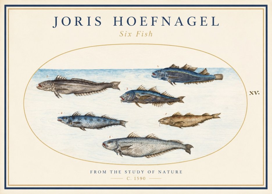 Joris Hoefnagel Six Fish No1 - Plakat