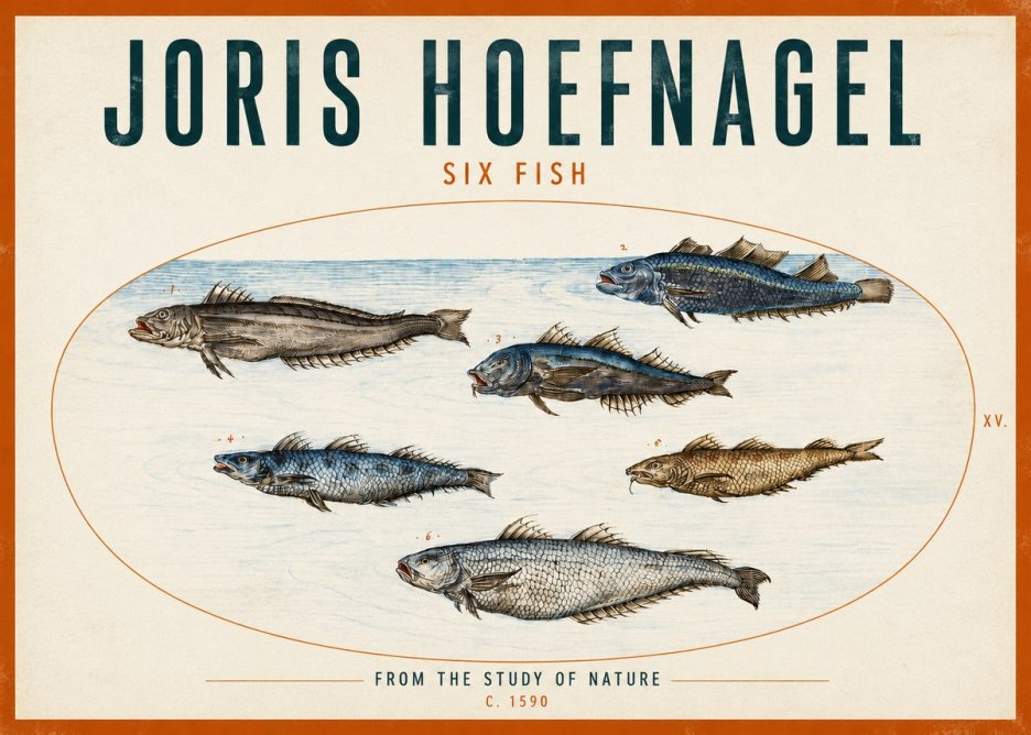 Joris Hoefnagel Six Fish No2 - Plakat