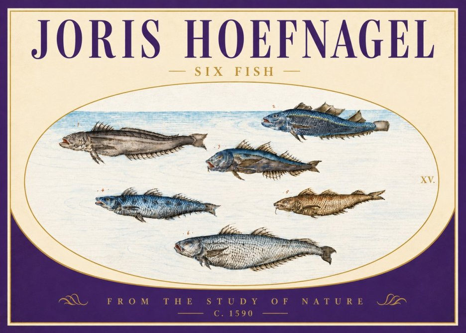 Joris Hoefnagel Six Fish No4 - Plakat
