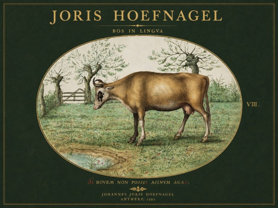 Joris Hoefnagel Bos in Lingva No3 - Plakat