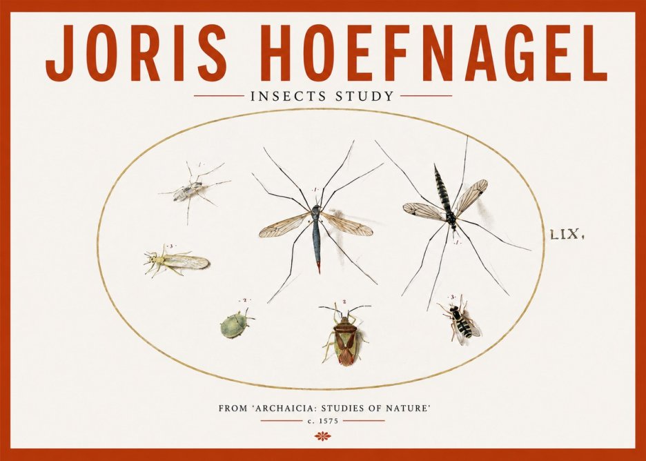Joris Hoefnagel Insects Study I No2 - Plakat