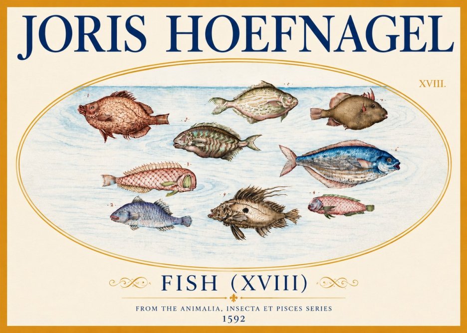 Joris Hoefnagel Studies of Fish I No4 - Plakat