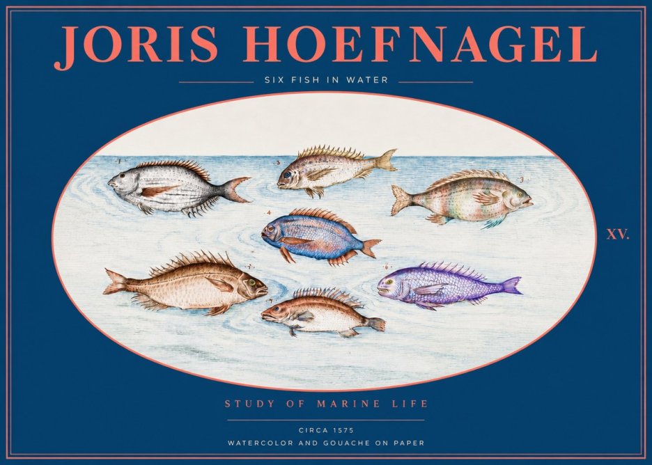 Joris Hoefnagel Six Fish in Water No2 - Plakat