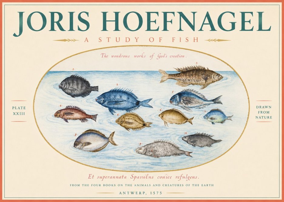Joris Hoefnagel A Study of Fish No3 - Plakat