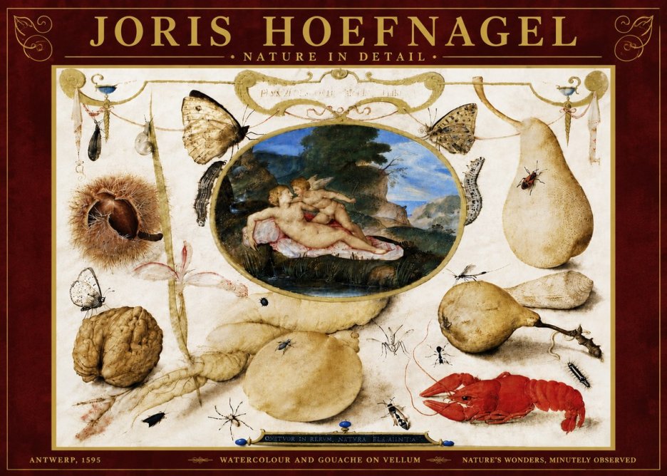 Joris Hoefnagel Nature in Detail No6 - Plakat