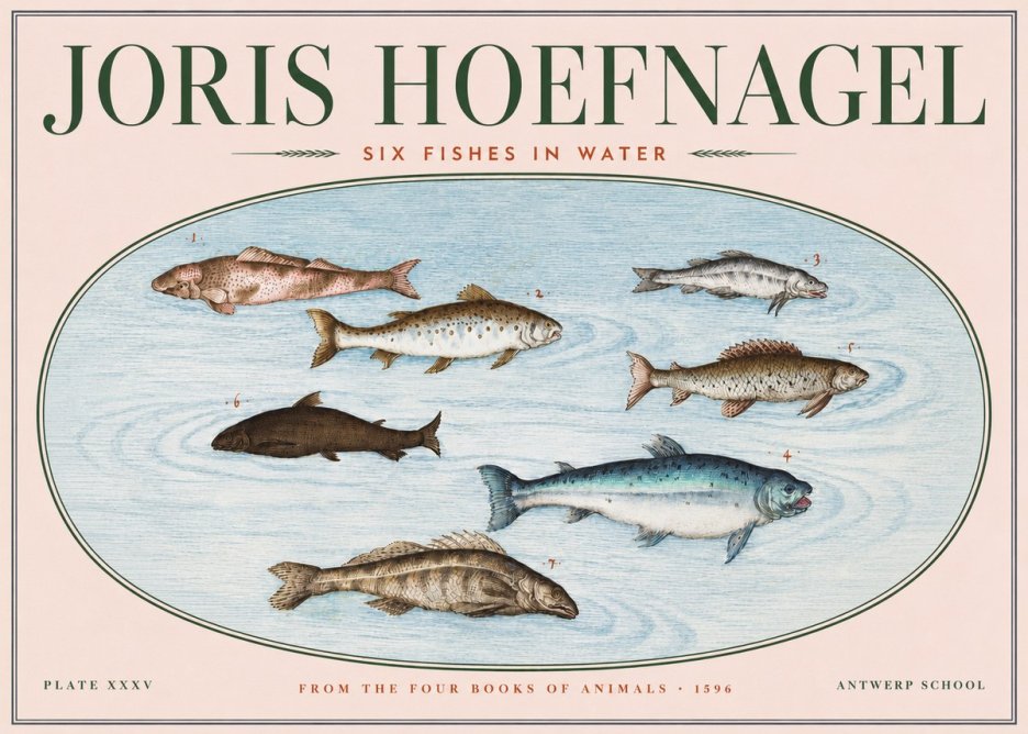 Joris Hoefnagel Six Fishes in Water I No3 - Plakat