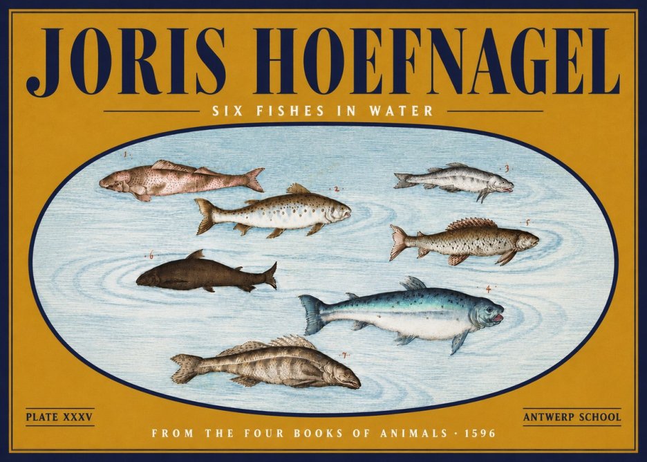 Joris Hoefnagel Six Fishes in Water I No4 - Plakat