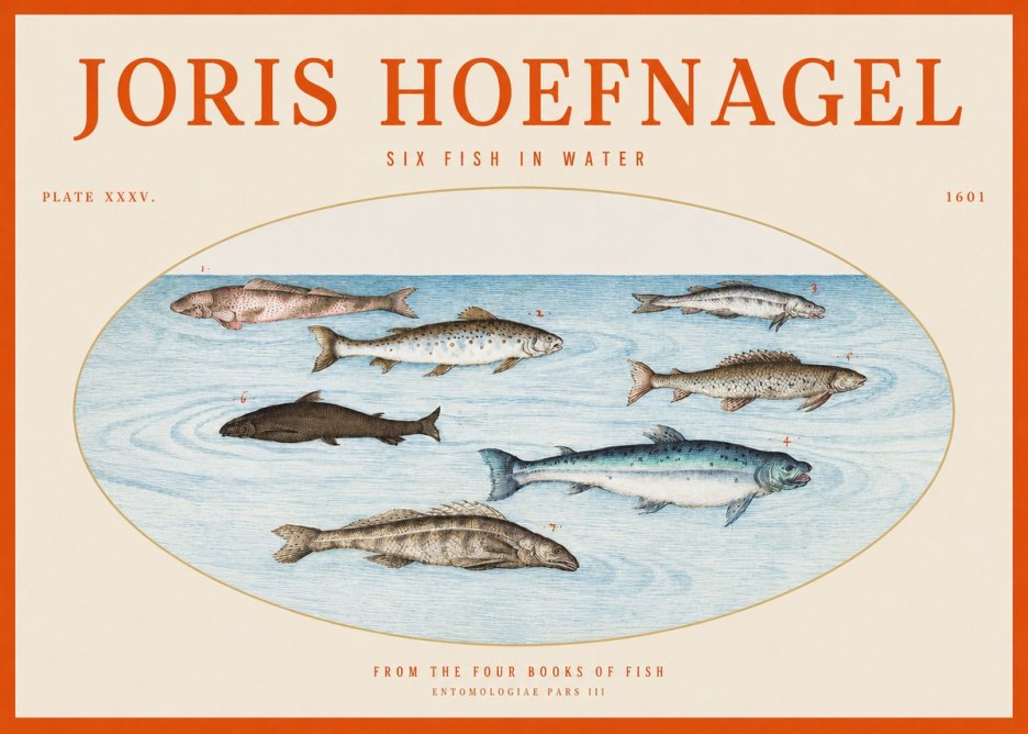 Joris Hoefnagel Six Fishes in Water I No6 - Plakat