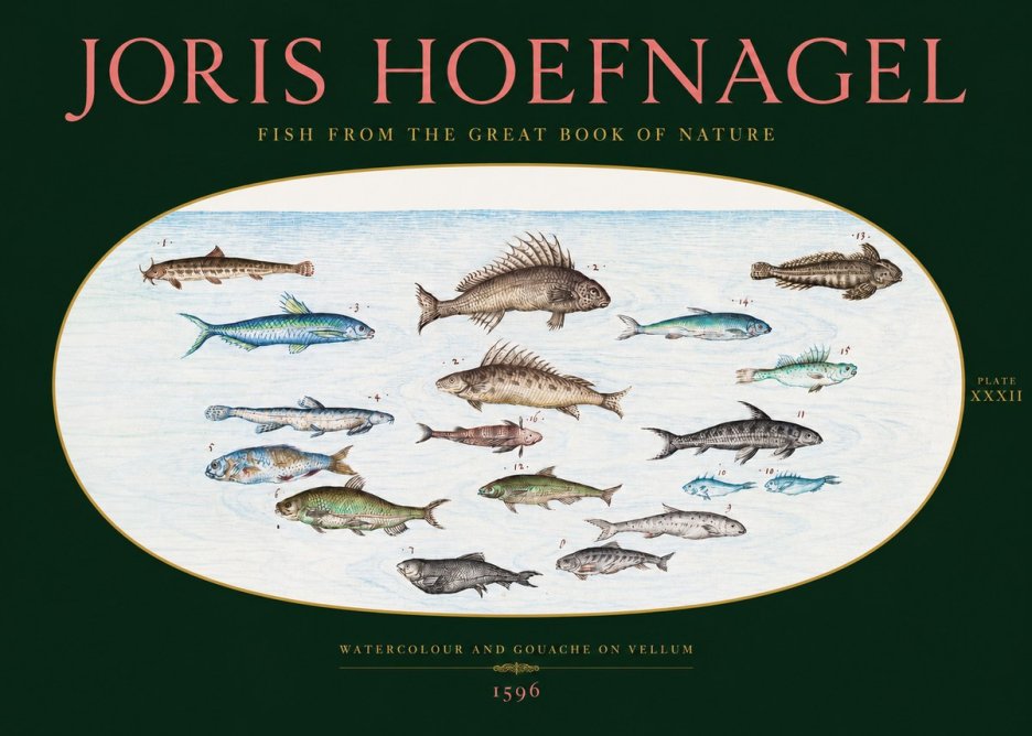 Joris Hoefnagel Fish from the Great Book of Nature No2 - Plakat