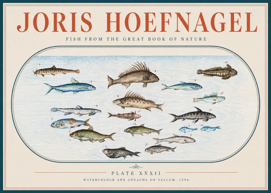 Joris Hoefnagel Fish from the Great Book of Nature No4 - Plakat