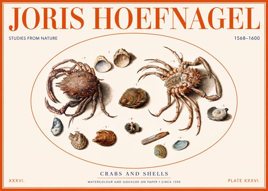 Joris Hoefnagel Crabs and Shells - Studies from Nature No2 - Plakat