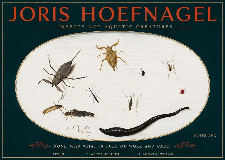 Joris Hoefnagel Insects and Aquatic Creatures No4 - Plakat