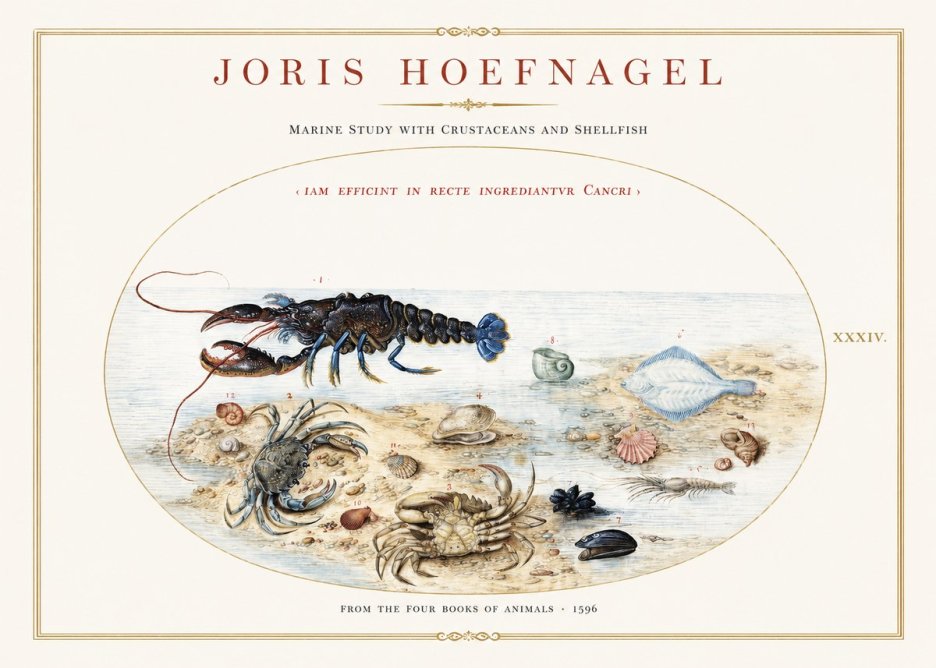 Joris Hoefnagel Marine Study with Crustaceans and Shellfish No1 - Plakat