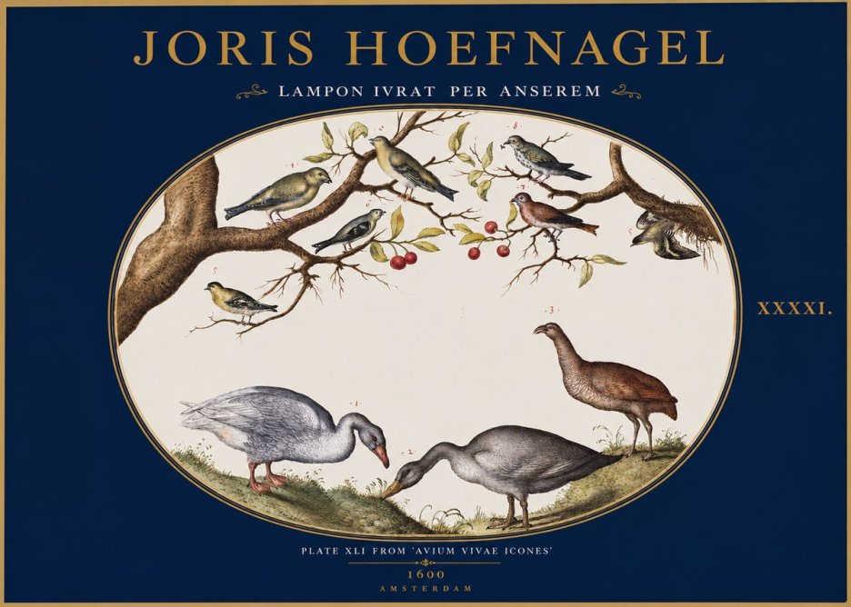 Joris Hoefnagel Lampon Ivrat per Anserem No2 - Plakat