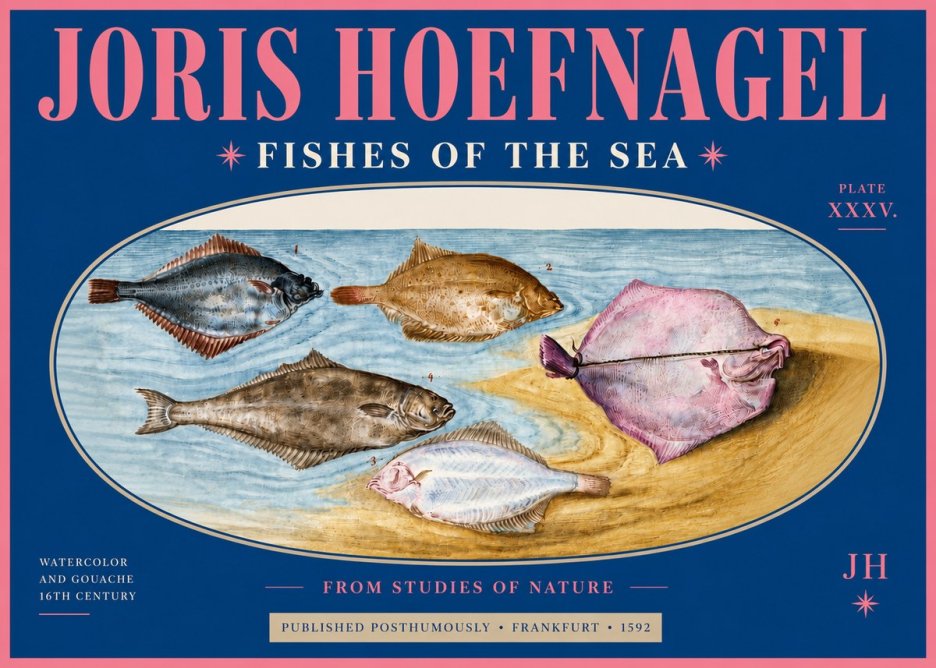 Joris Hoefnagel Fishes of the Sea II No4 - Plakat