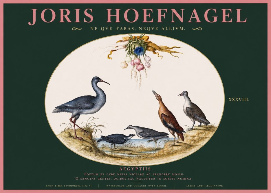 Joris Hoefnagel Aegyptiis. No2 - Plakat