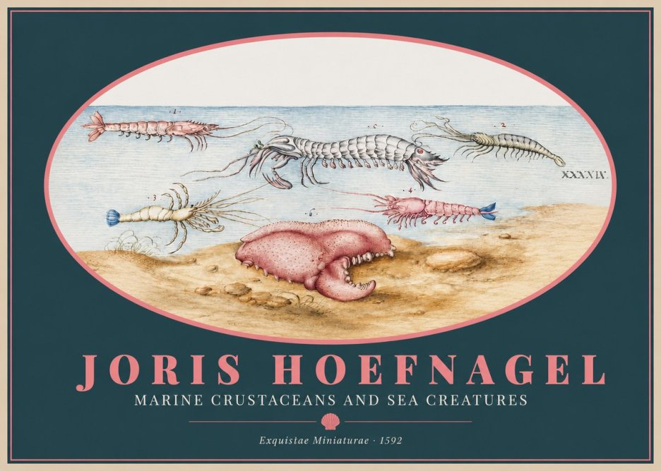 Joris Hoefnagel Marine Crustaceans and Sea Creature No2 - Plakat