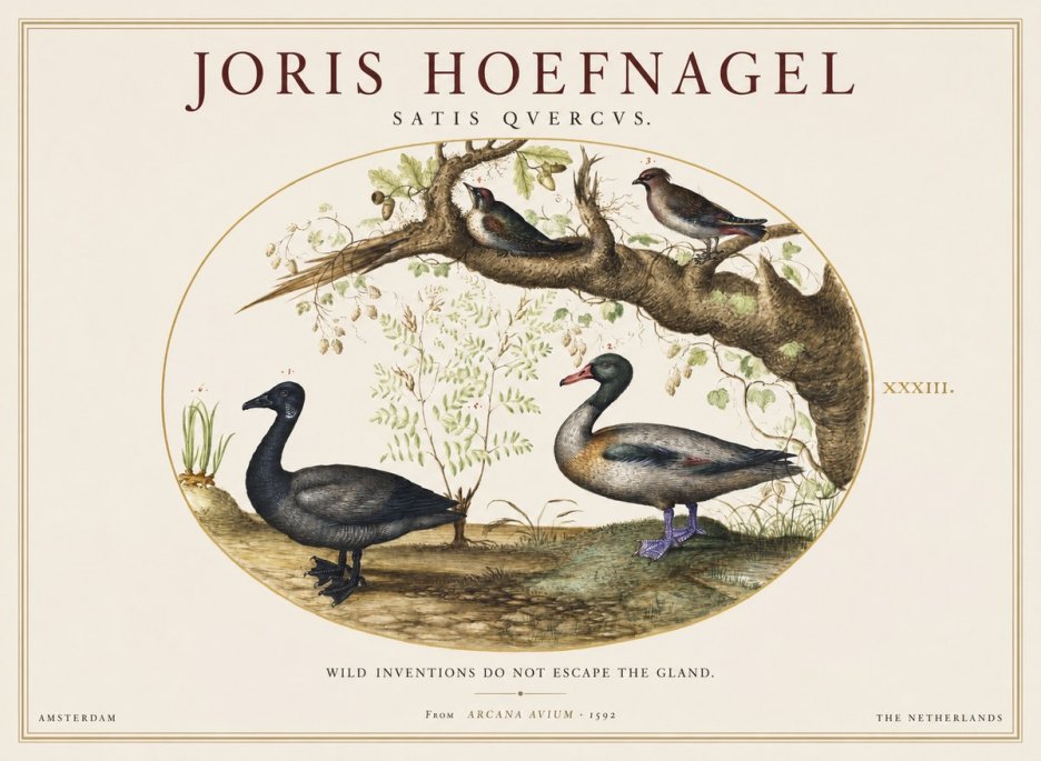 Joris Hoefnagel Satis Quercus. Birds of the Marsh No2 - Plakat